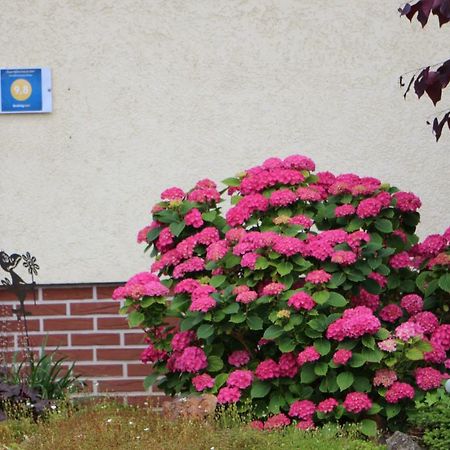 Ferienwohnung-Wieber Kappel-Grafenhausen Esterno foto