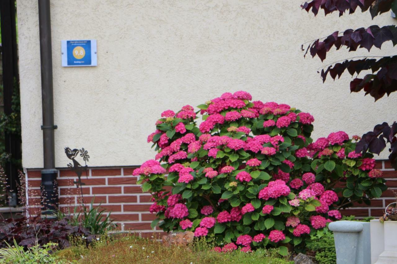 Ferienwohnung-Wieber Kappel-Grafenhausen Esterno foto